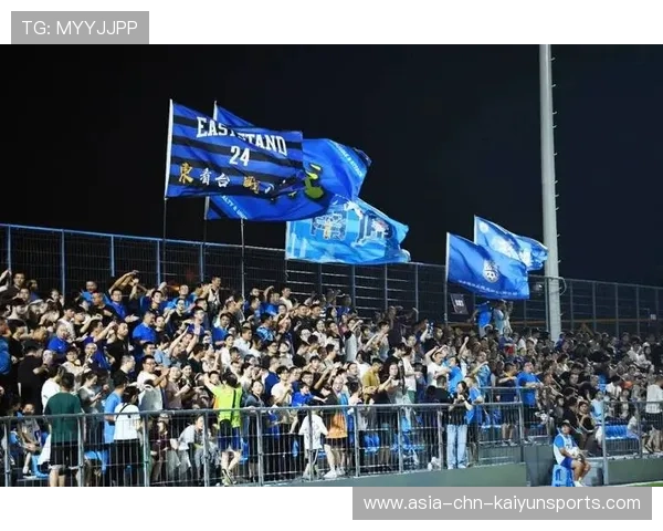 中国足球联赛拓宽海外球迷渠道发展多语种内容运营，外媒中国足球