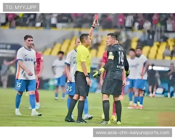 足坛裁判争议判罚引联盟启动复核程序，足球裁判组成员