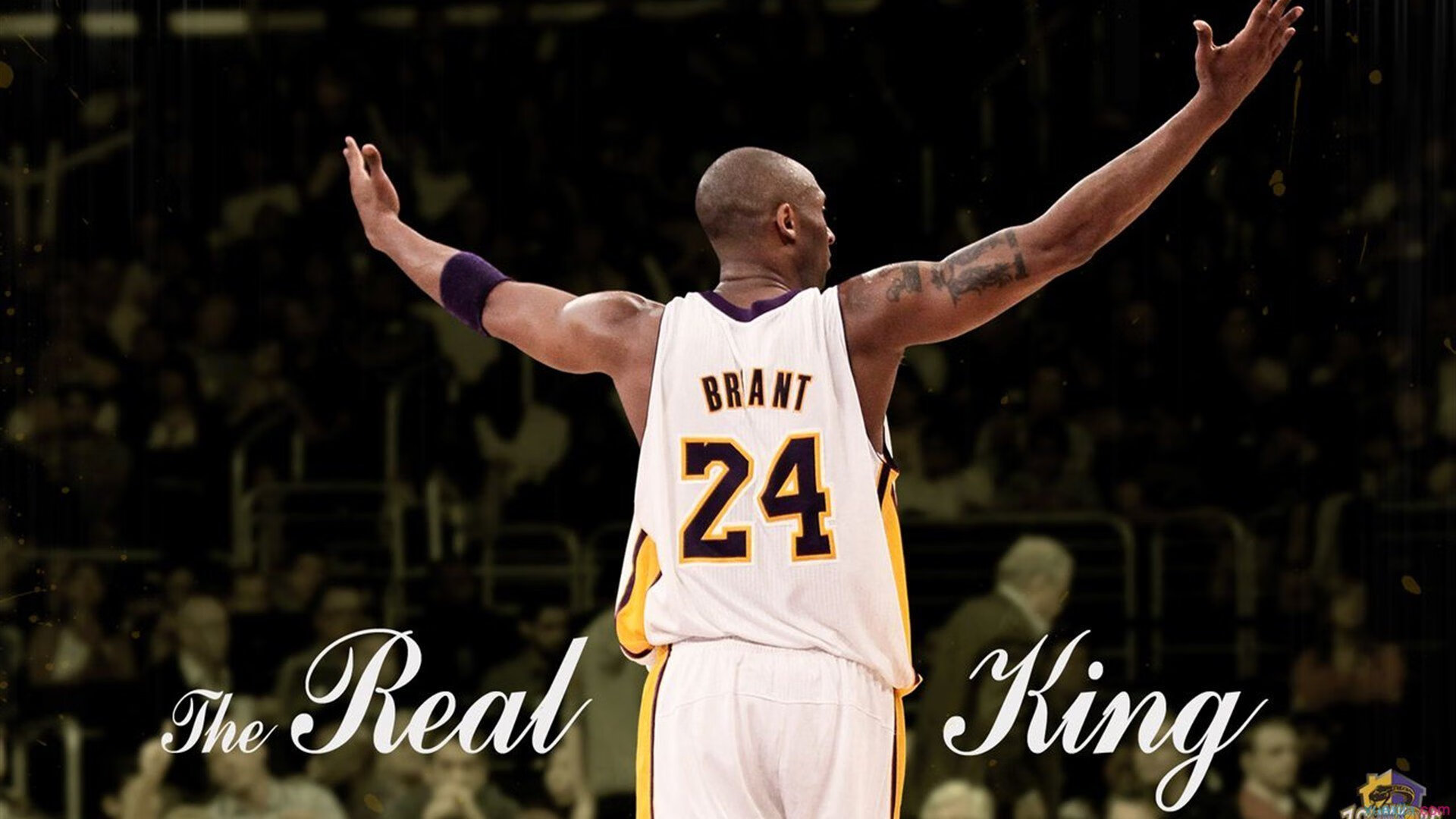 开云网页版登录入口-逆境中的“黄金时间”！——抓住机会，让逆境成为你崛起的跳板